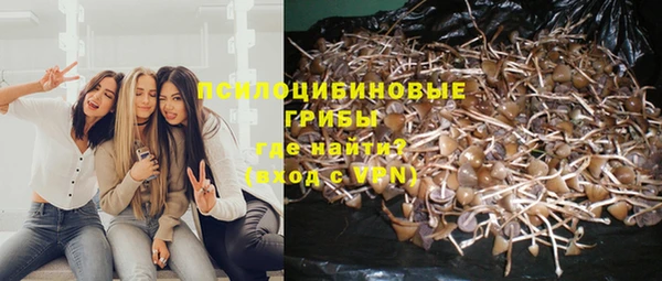 каннабис Абаза