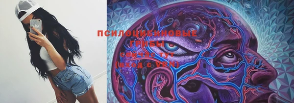 гашик Абинск