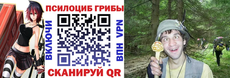Галлюциногенные грибы MAGIC MUSHROOMS  shop клад  Севастополь  hydra сайт 